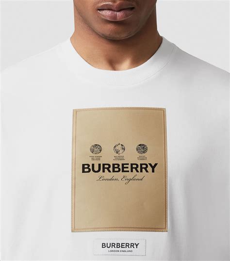 burberry t shirt homme|Burberry t shirt men price.